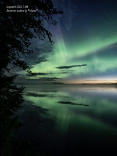Summer auroras are the quiet ones.

August 8, 2022, before 1 AM. Kurjenrahka National Park. Still warm, mist on the lake, rowan in the foreground. I almost stayed in, August feels too early, but KP5 hit and the sky opened green and purple for almost an hour.

Swipe: 👉
1. first light through birch
2. mirror
3. leaves
4. me realizing I forgot bug spray 🦟

📷 Sony A7 III + Sigma 14mm f/1.8 Art / 35mm f/1.4 Art

🔖 Save this for the coming August. They do happen.

#auroraborealis #sonynordic #kurjenrahkankansallispuisto #visitfinland #nightscapes