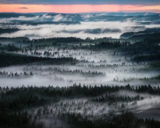 2 AM in Southern Savonia. The sun is below the horizon, but it’s not dark. The lakes just fill with fog instead.

📷 DJI Mavic 4 Pro
📆 3.7.2026 02:14–02:32
📍 Kangasniemi

#visitkangasniemi #visitfinland #djimavic4pro #NatGeoYourShotBOTW