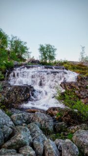 Midnight light at Tsahkalputous waterfall, Kilpisjärvi Lapland.

Just a 1 km walk from the village shop, you’ll hear it before you see it.

🎥 DJI Mavic 4 Pro
📆 21.6.2026

#kilpisjärvi #tsahkalputous #visitfinland #laplandfinland #djimavic4pro
