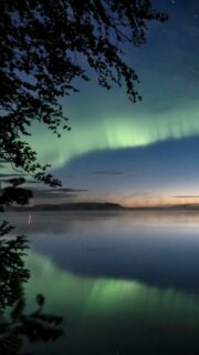 Aurora borealis doesn’t belong in August. Finland disagreed. 

Kurjenrahka National Park 8.8.2022

#NorthernLights #AuroraBorealis #VisitFinland #Timelapse #nightphotography