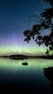 Early Autumn Auroras in Finland. Warm nights, green leaves, northern lights. 

📷 Sony A7 IV, 14 mm, f/1.4, 1.3 s, ISO 3200

📆 4.9.2025

#auroraborealis #northernlights #visitfinland #nightphotography #sonynordic