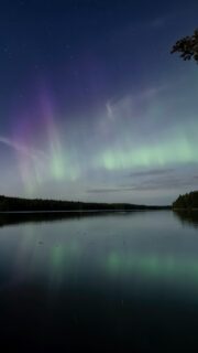 Part 2 from Lääminki. 00:47, auroras overhead, and then a photobomb from the sauna. 🏊‍♂️
Only in Finland.

#auroraborealis #kangasniemi #lääminki #visitfinland #sonynordic