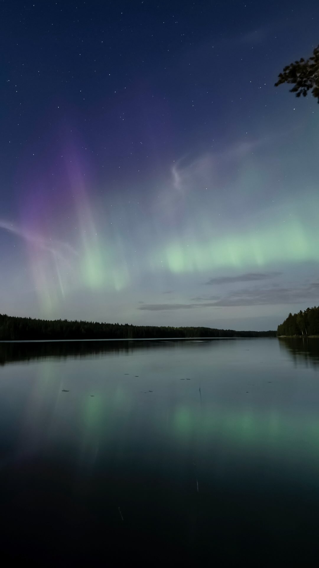 Part 2 from Lääminki. 00:47, auroras overhead, and then a photobomb from the sauna. 🏊‍♂️
Only in Finland.

#auroraborealis #kangasniemi #lääminki #visitfinland #sonynordic