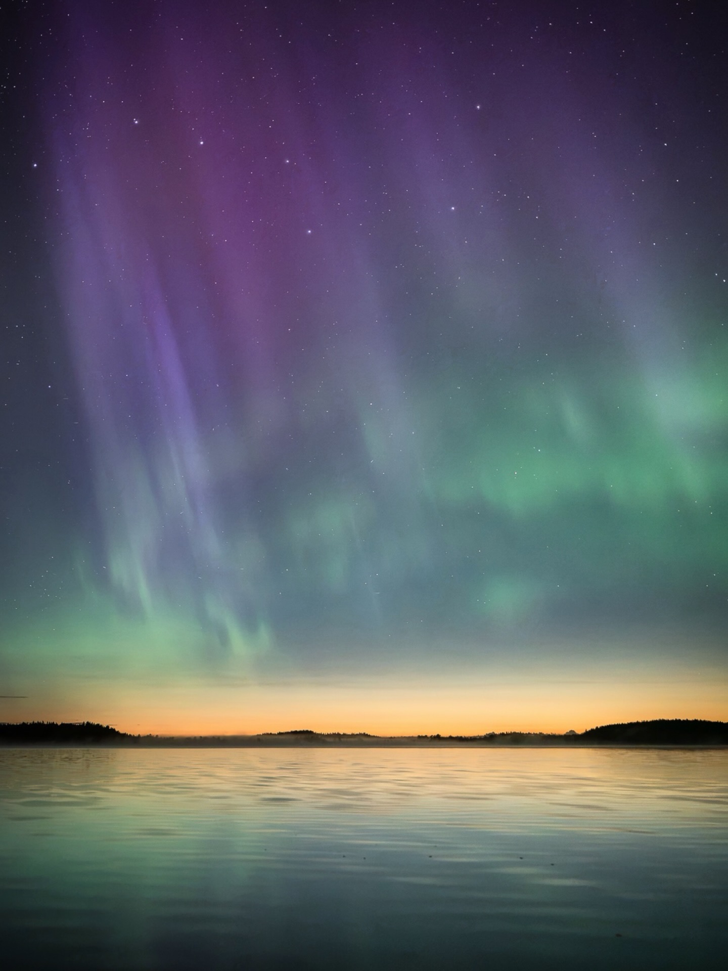 August night, mist on the lake, purple and green dancing overhead.

📷 Sony A7 IV, 20 mm, f/1.4, 0.8 s, ISO 1600

📆 18.8.2026 23:59

#auroraborealis #sonyalpha #sonynordic #kurjenrahkankansallispuisto #visitfinland