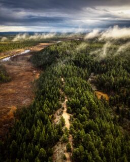 Mist stuck between the layers.
Forests, bogs and a quiet road cutting through — Enontekiö at 9AM after the rain lifted.

🎥 DJI Mavic 4 Pro

📆 20.9.2026

#enontekiölapland #laplandfinland #visitfinland #djimavic4pro