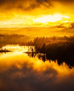 The last gold of the day poured over Periläjärvi.
No wind. Just light, mist and pine.

🎥 DJI Mavic 4 Pro

📆 19.9.2026

#enontekiölapland #laplandfinland #visitfinland #djimavic4pro #sunset