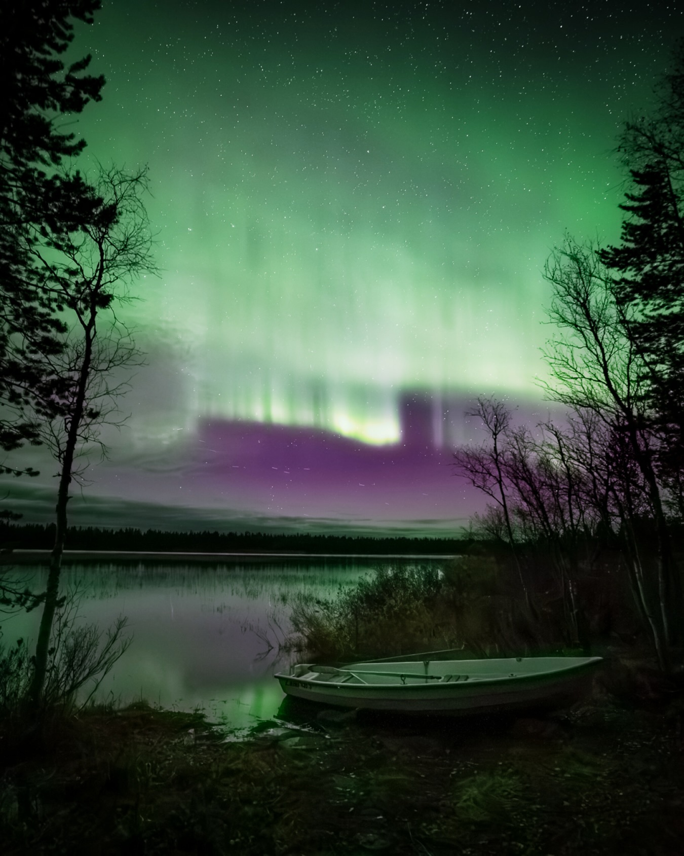 The calm of 2 AM 💚

📷 Sony A7R V, 14 mm, f/1.4, 2.5 s, ISO 6400

📆 22.9.2026

#periläjärvi #enontekiölapland #auroraborealis #sonynordic #laplandfinland