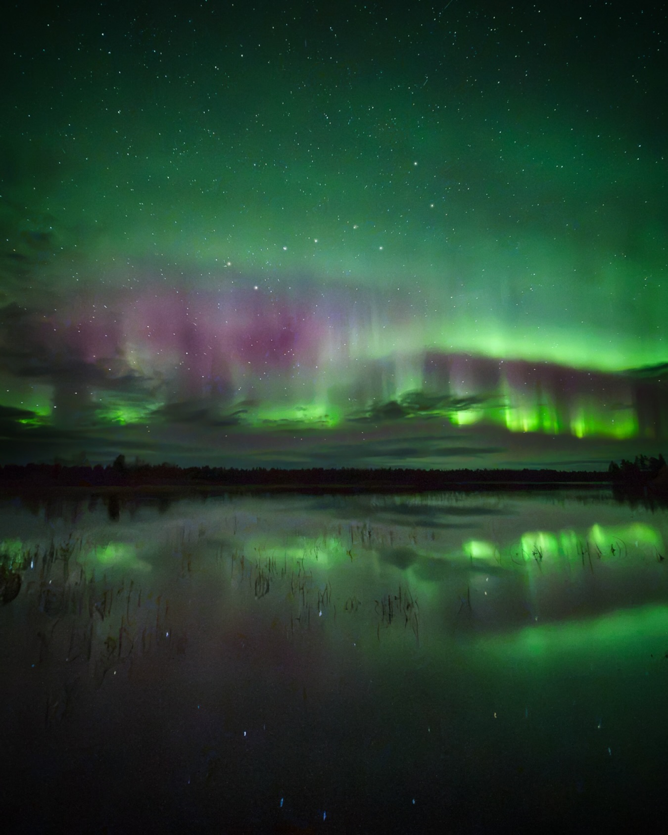 Last night 💚

📷 Sony A7 IV, 10 mm, f/2.8, 2.5 s, ISO 6400

#enontekiölapland #auroraborealis #visitfinland  #periläjärvi