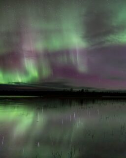 Northern lights and shooting stars ☄️

📷 Sony A7R V, 14 mm, f/1.4, 2.5 s, ISO 6400

📆 22.9.2026 01:54 & 02:00

#auroraborealis #shootingstars #periläjärvi #enontekiölapland #laplandfinland