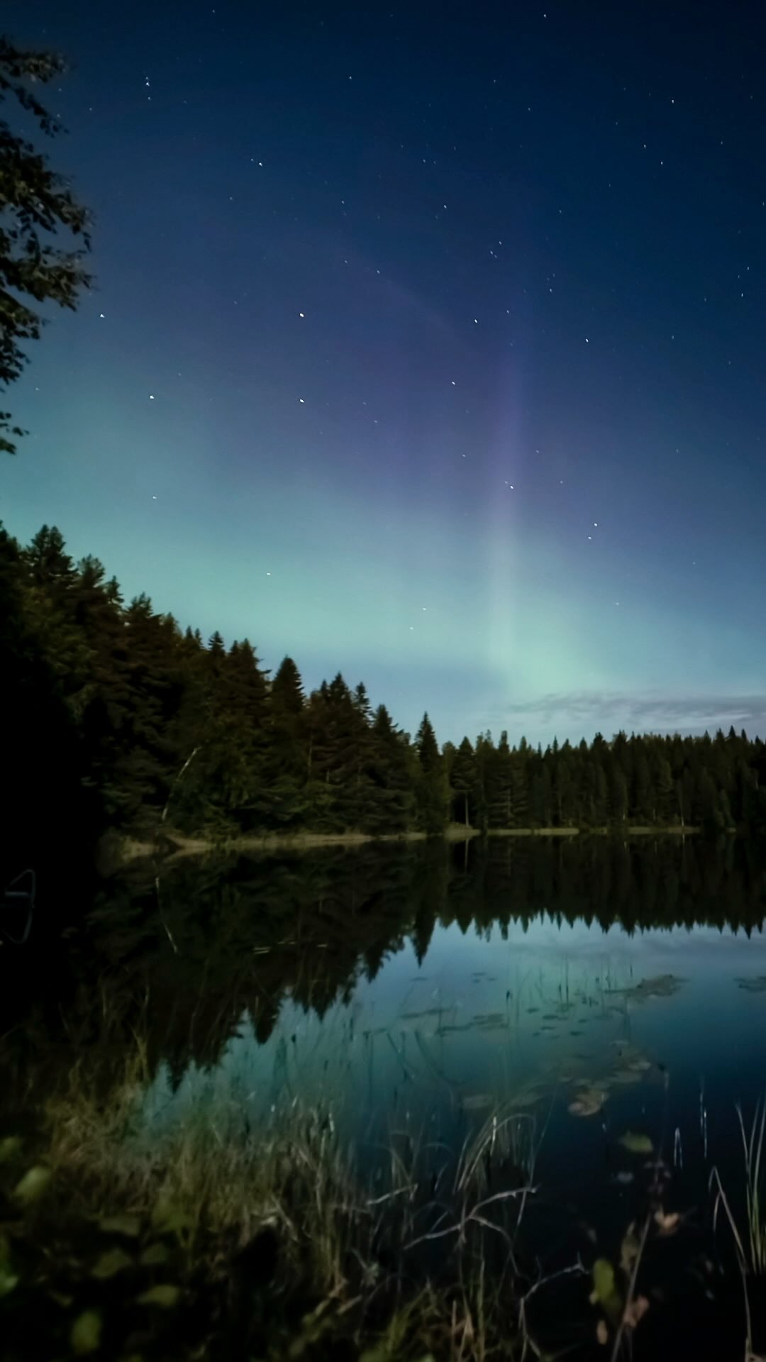 Still night in Kangasniemi.
No wind. Just stars, forest, and aurora breathing above the lake.

📷 Sony A7 IV, 10 mm, f/2.8, 2.5 s, ISO 6400

📆 29.8.2026

#auroraborealis #kangasniemi #lääminki #visitfinland #sonynordic