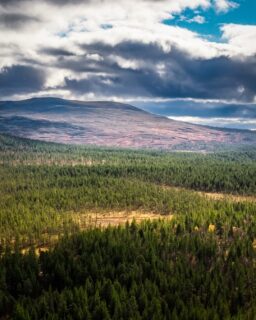 Late autumn views from Hetta and Pallas-Yllästunturi National Park 

#enontekiölapland #pallasyllästunturinkansallispuisto #suomiretki #laplandfinland